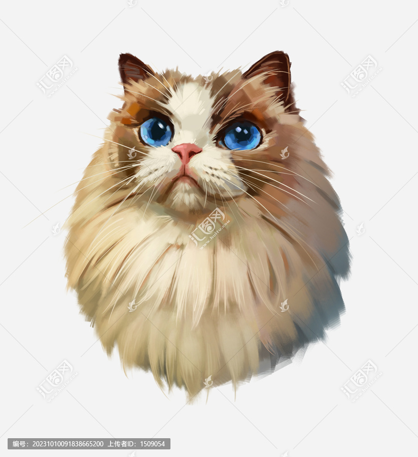 小貓插畫