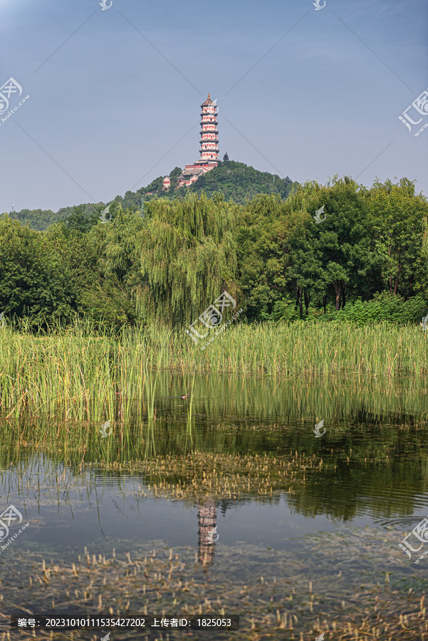 玉东郊野公园玉峰塔自然风光