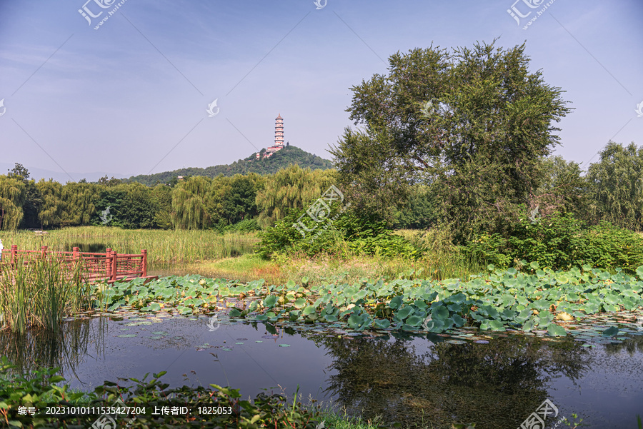 玉东郊野公园玉峰塔自然风光