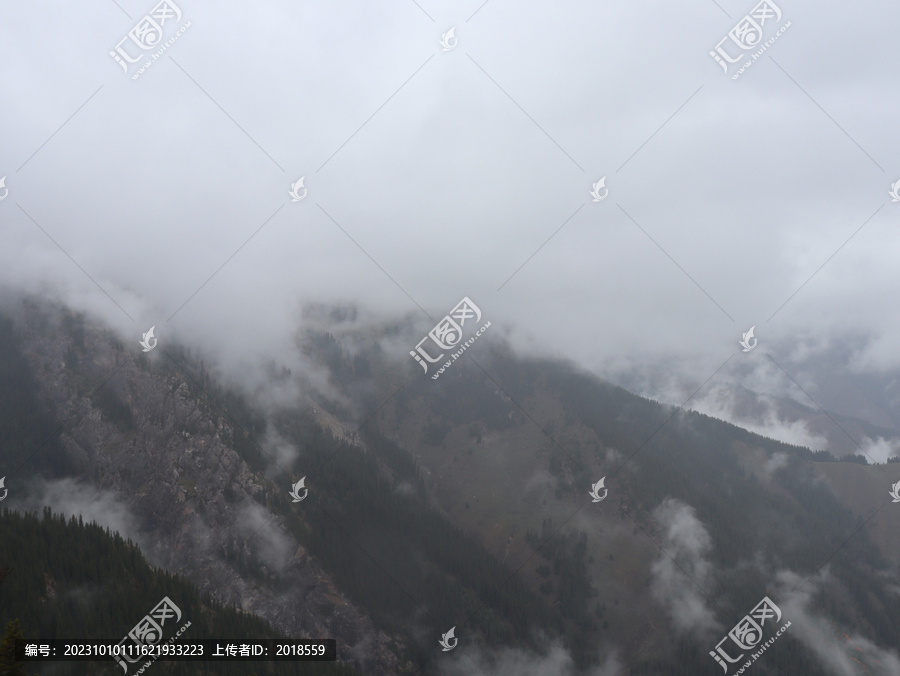 云雾中的高山草原