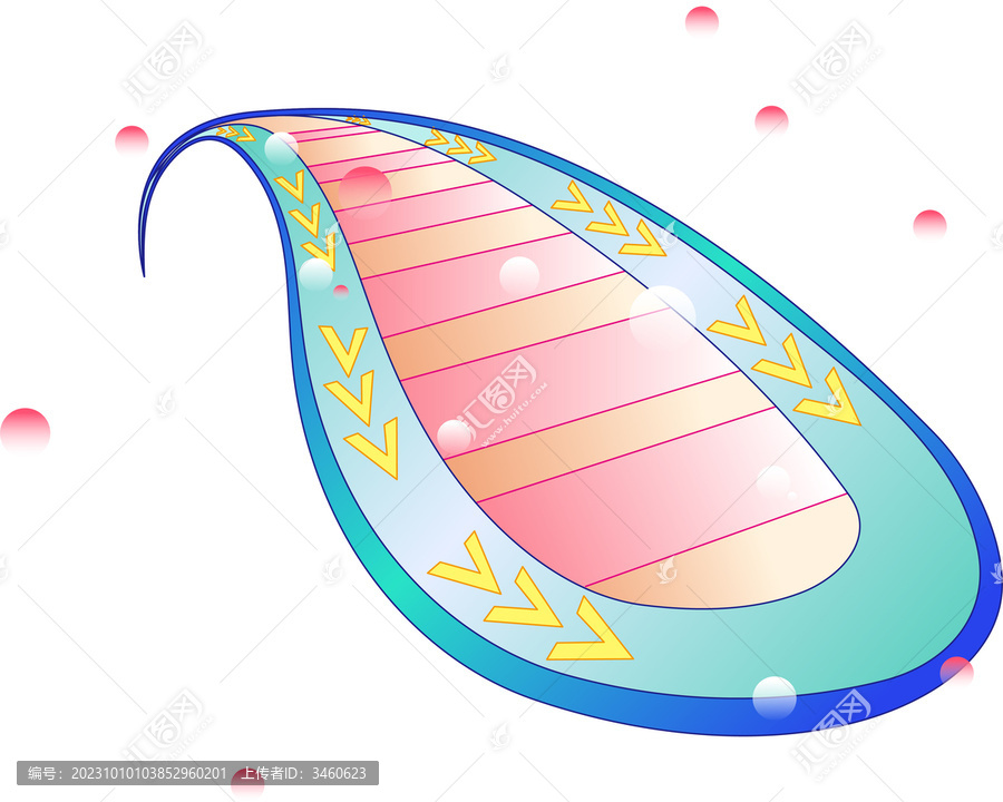 軌道