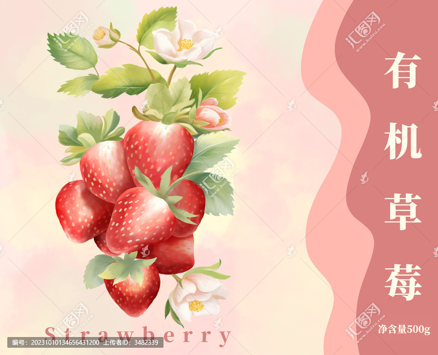 草莓水果包装设计插画
