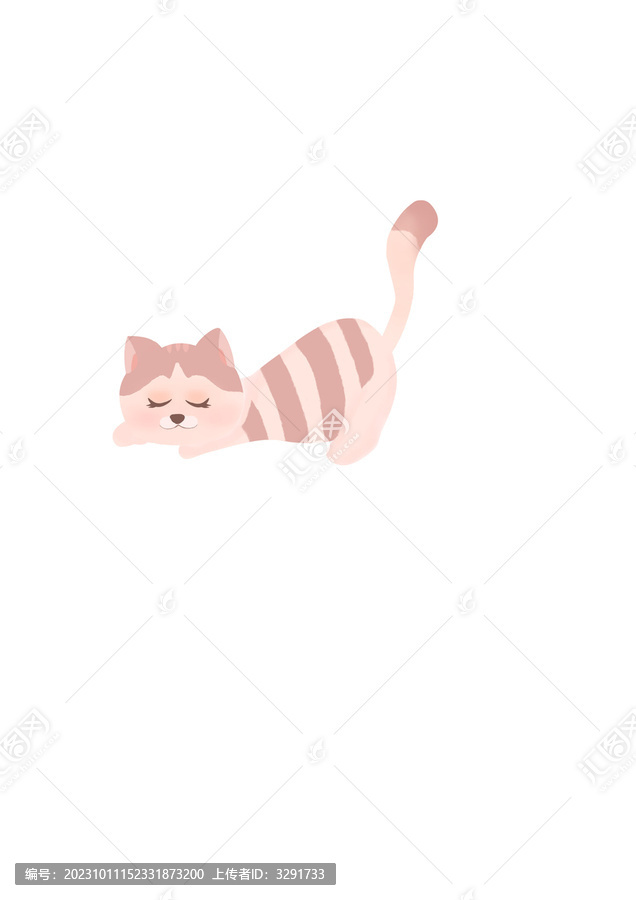 小貓