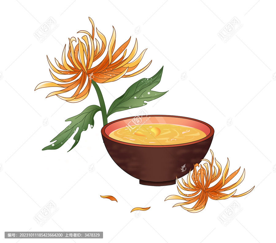 菊花酒水手繪插畫