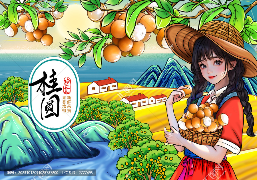 桂圓包裝插畫(huà)