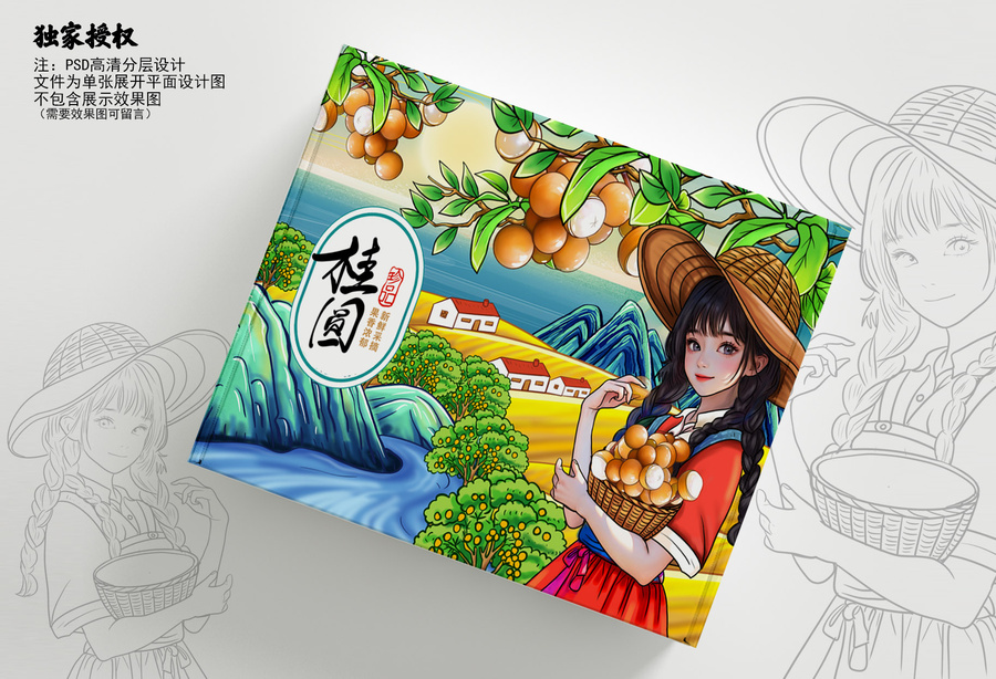 桂圓包裝插畫(huà)