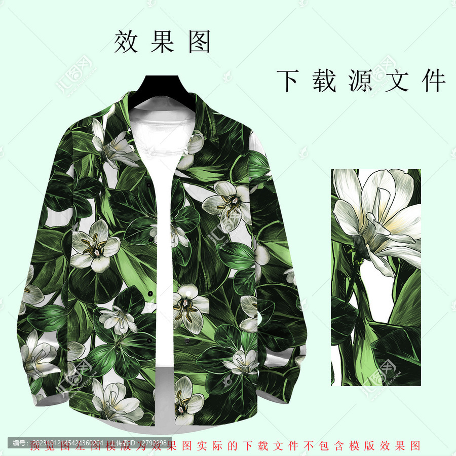 時(shí)尚植物花卉