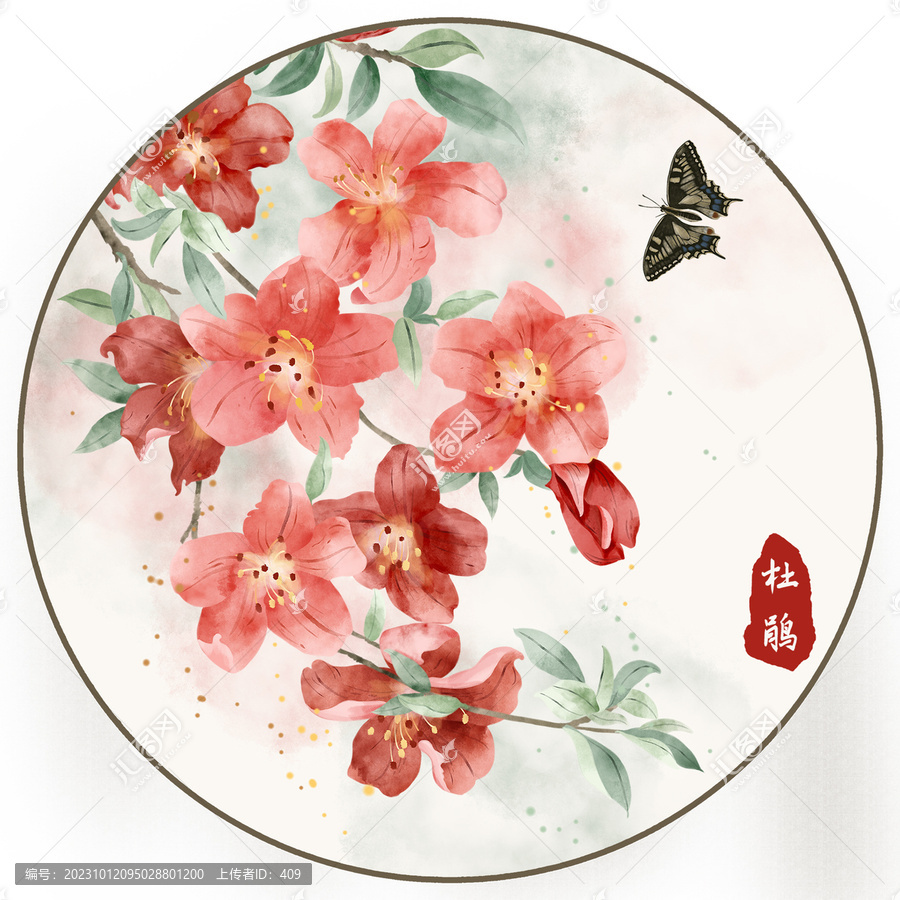 杜鵑水彩插畫