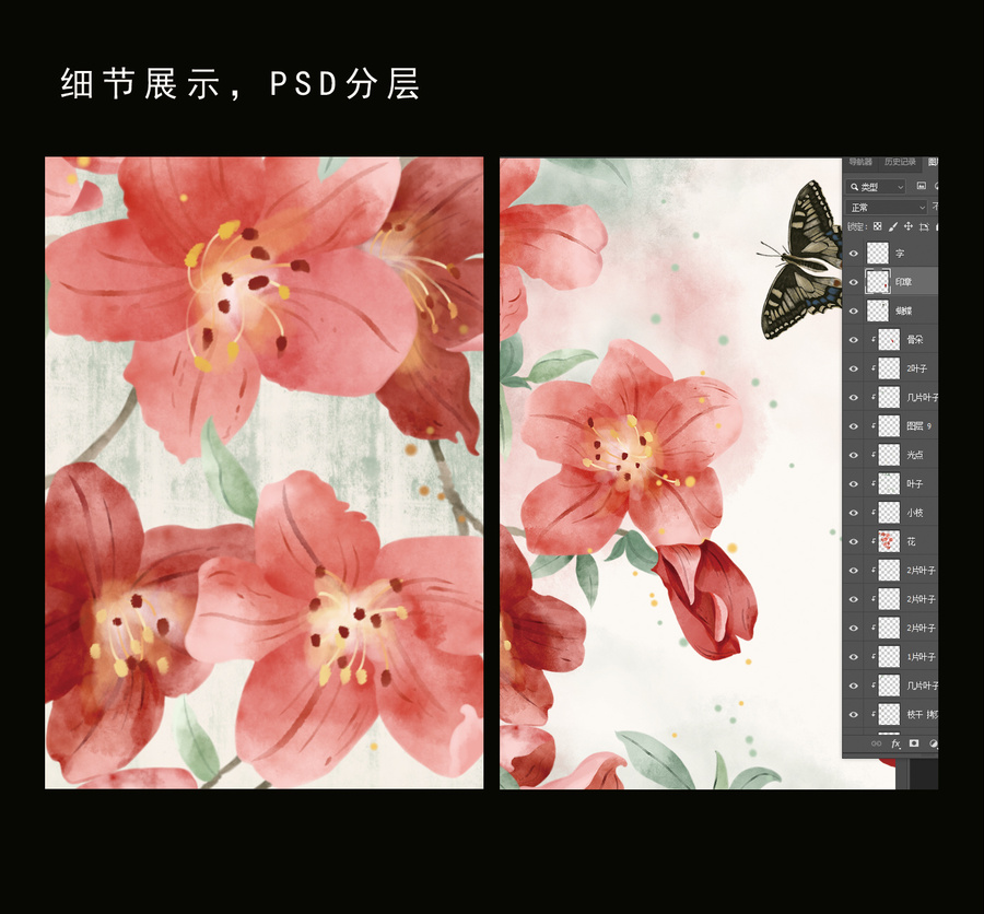 杜鵑水彩插畫