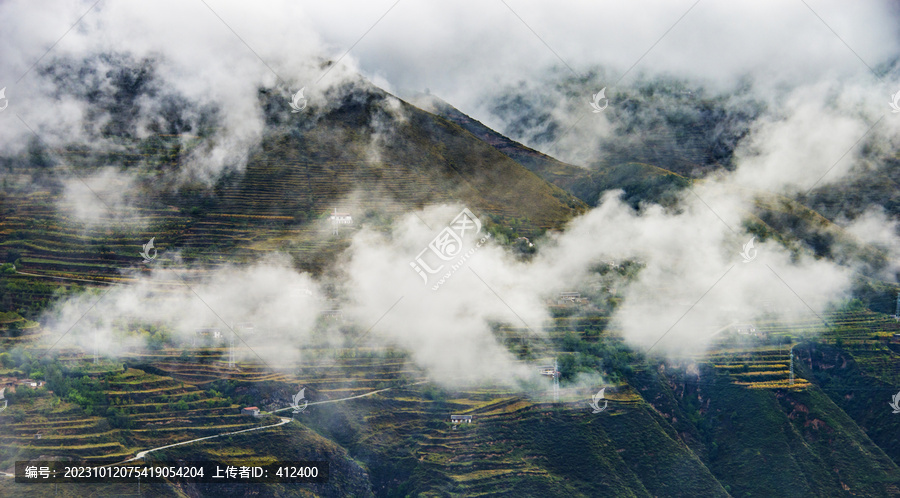 高山云雾