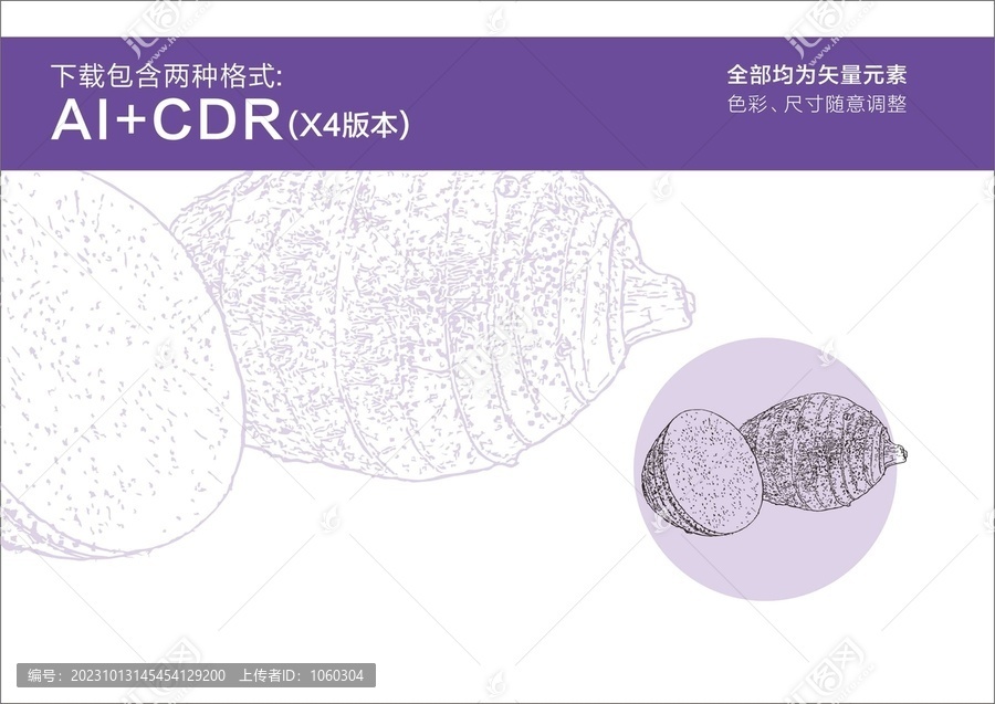 芋头手绘芋头线描