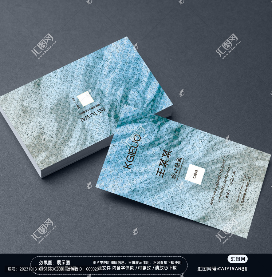 現(xiàn)代時尚抽象創(chuàng)意環(huán)藝廣告名片