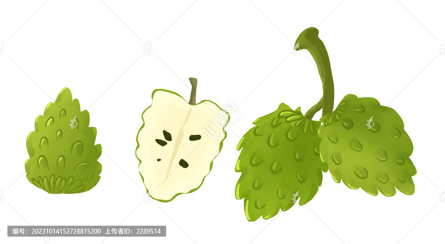 釋迦果水果手繪包裝