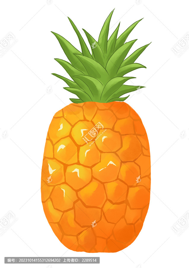 菠萝水果插画