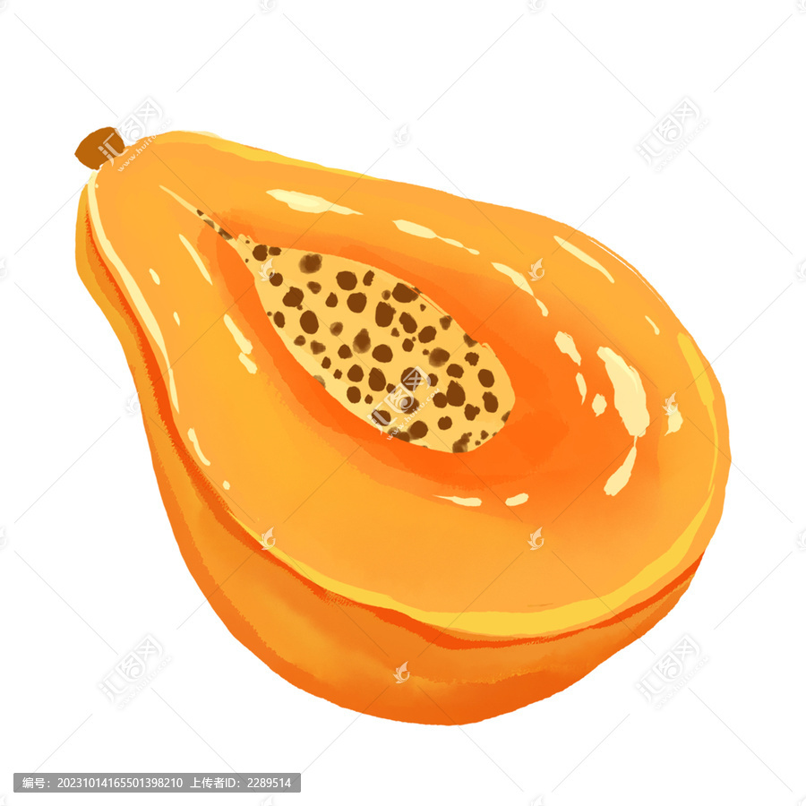 甜美木瓜水果手繪插畫(huà)
