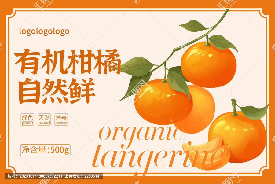 橘子包裝手繪插畫