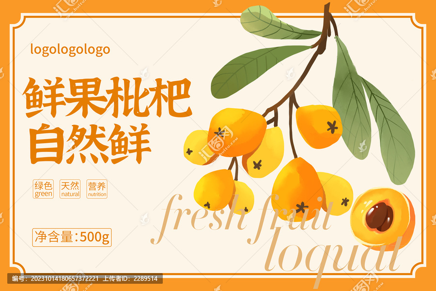 枇杷包裝手繪插畫