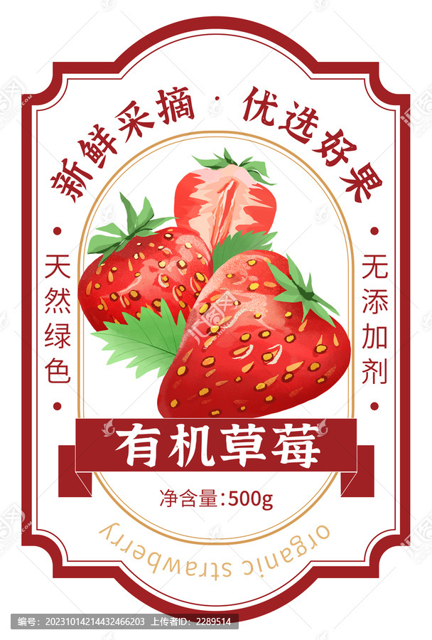 草莓包装手绘插画