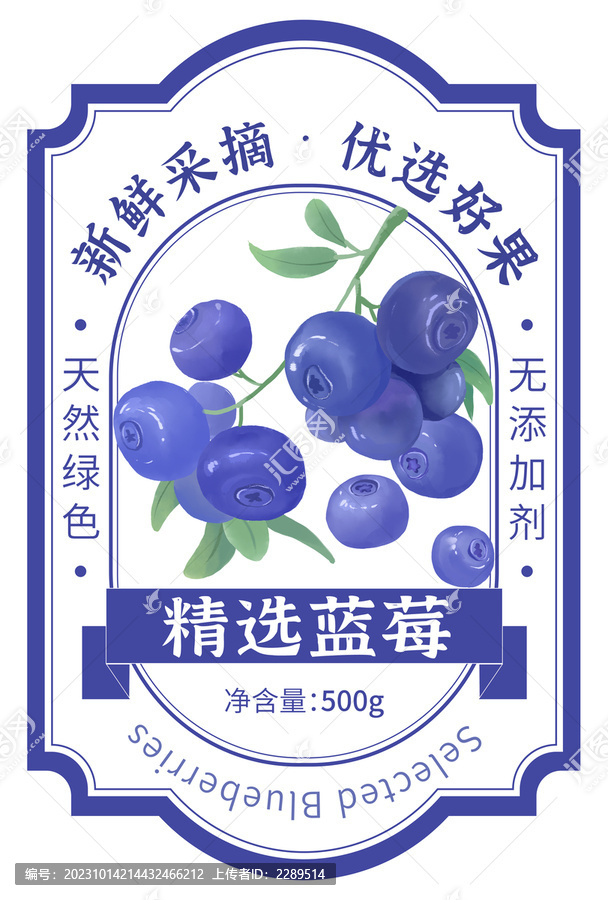 蓝莓包装手绘插画