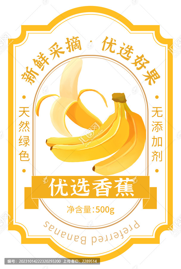 香蕉包裝手繪插畫