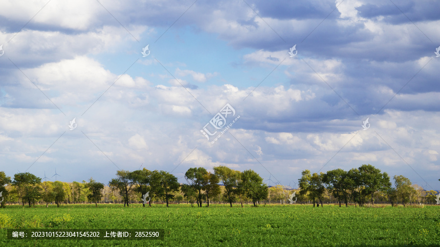 秋天的田野