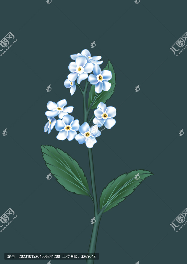 古風(fēng)淡雅星辰花