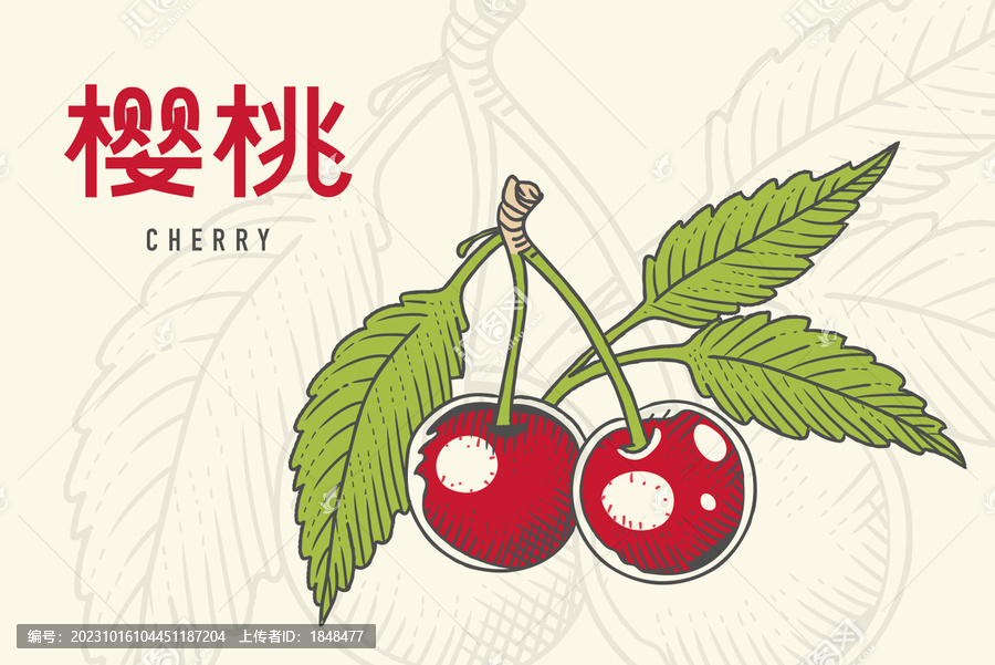 櫻桃