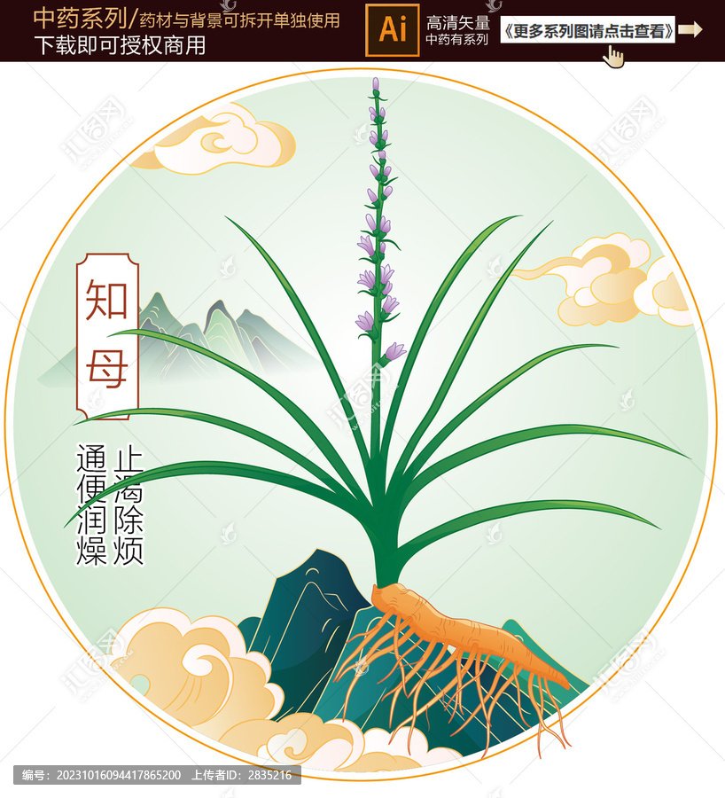 知母