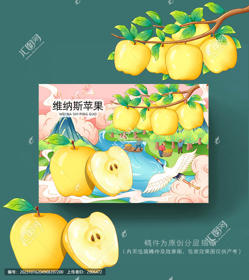 維納斯蘋(píng)果包裝插畫(huà)