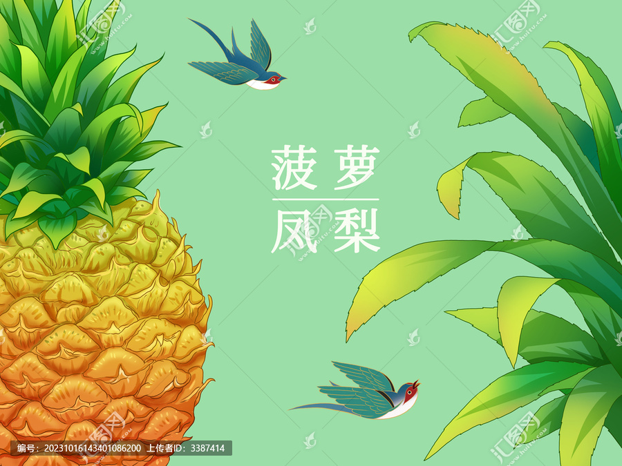 菠蘿鳳梨手繪插畫海報