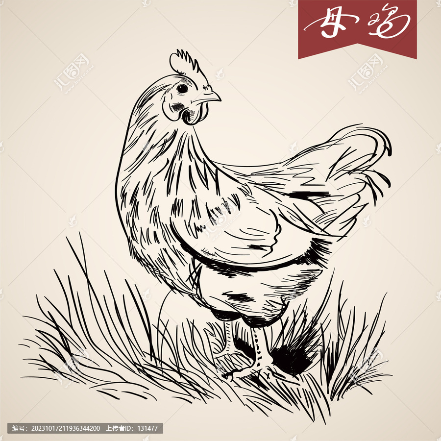 線條母雞