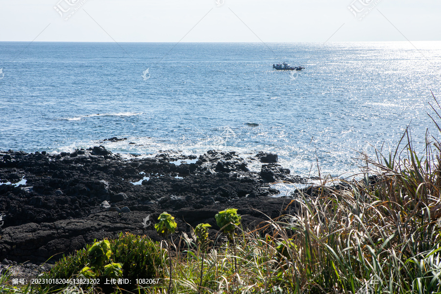 济州岛牛岛