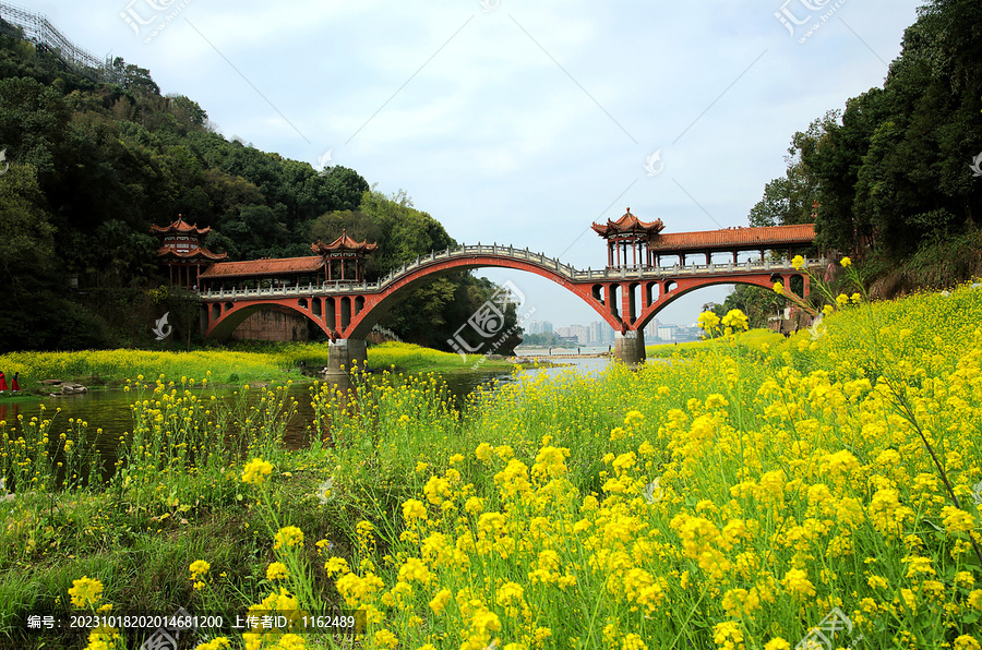 河谷油菜花田