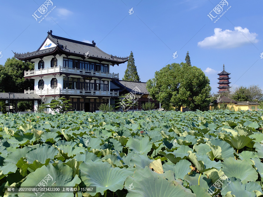 莲泗荡荷塘望湖楼刘公塔