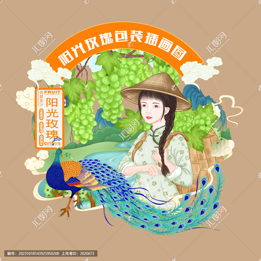 陽光玫瑰包裝插畫
