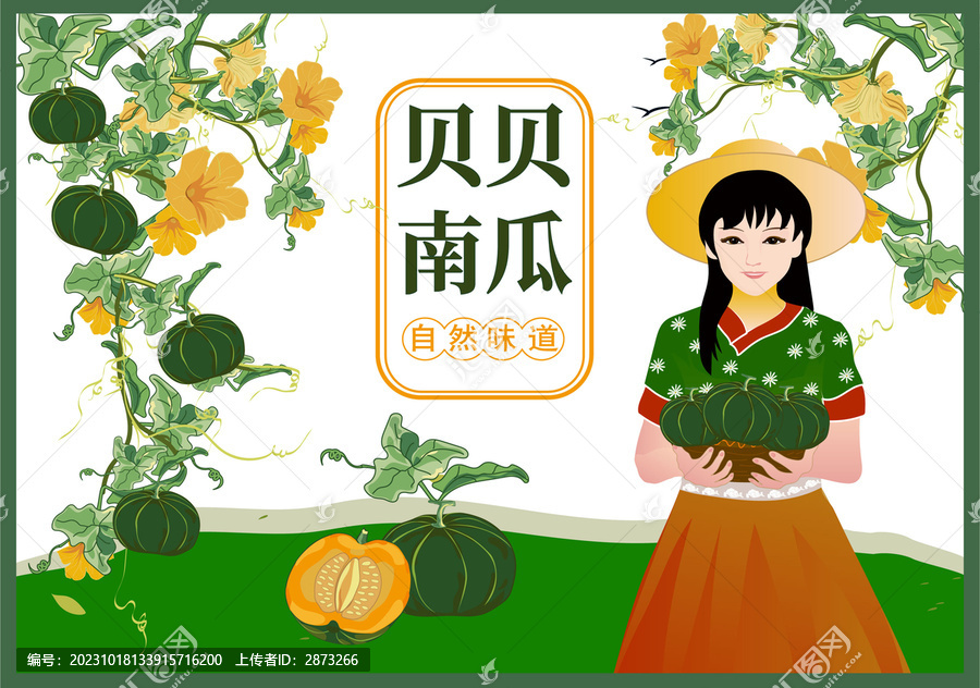 貝貝南瓜包裝
