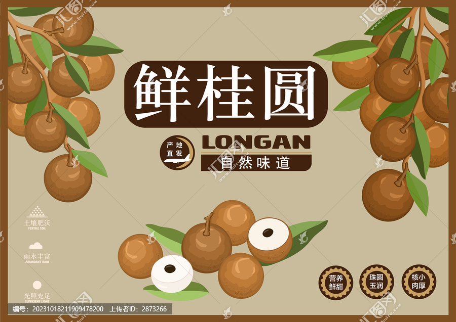 桂圓包裝插畫