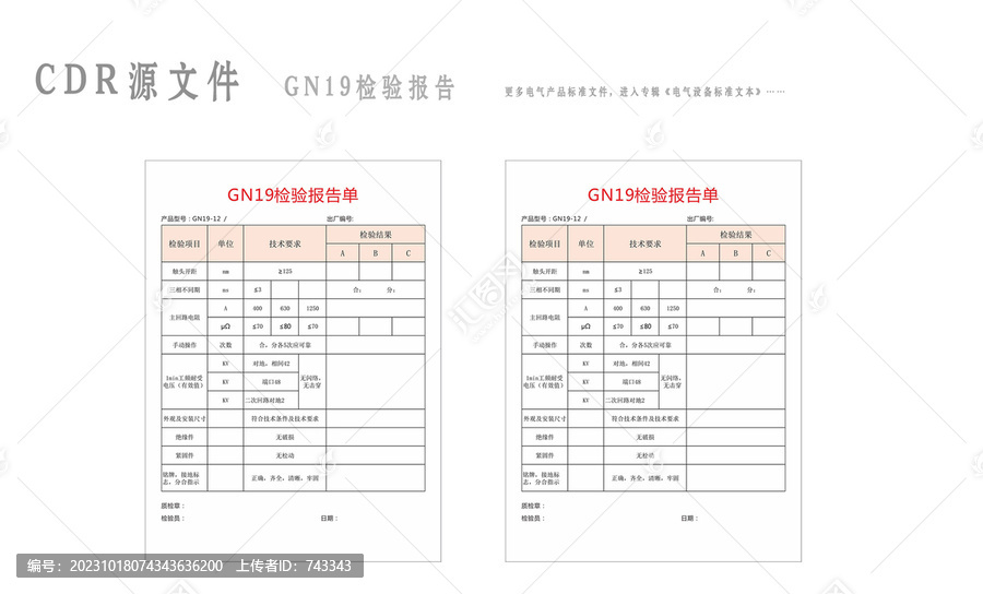 GN19檢驗(yàn)報(bào)告單