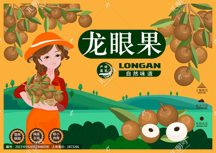 桂圓包裝