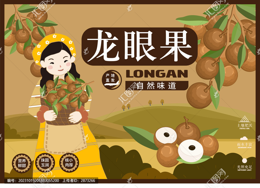 桂圓包裝插畫