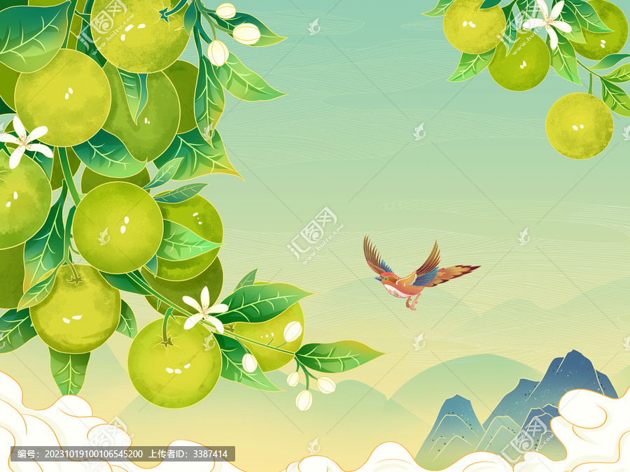國風(fēng)小青柑手繪插畫