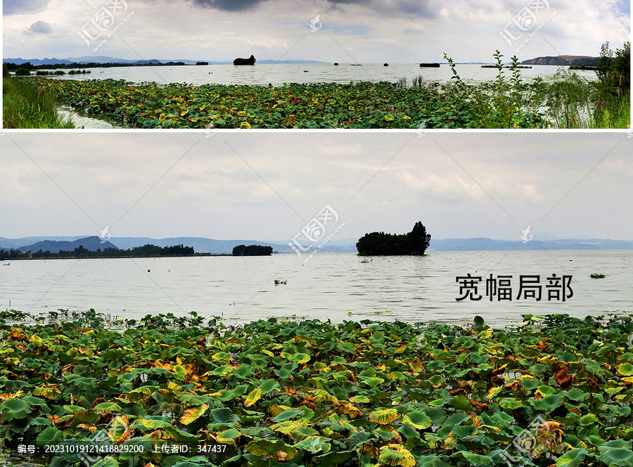 云南昆明滇池国家湿地宽幅