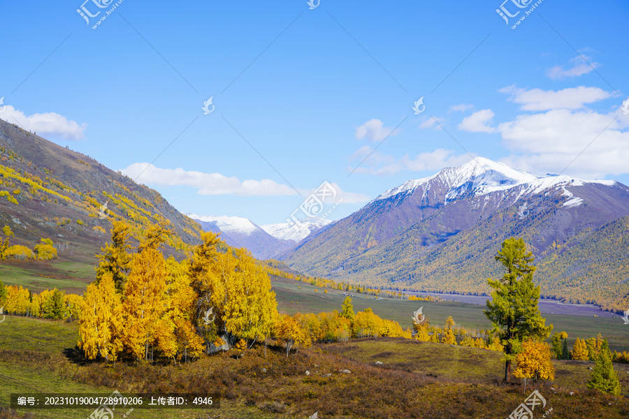 秋日山景