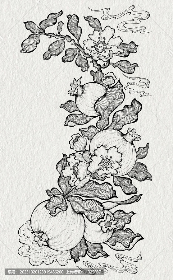 石榴銅版畫插畫