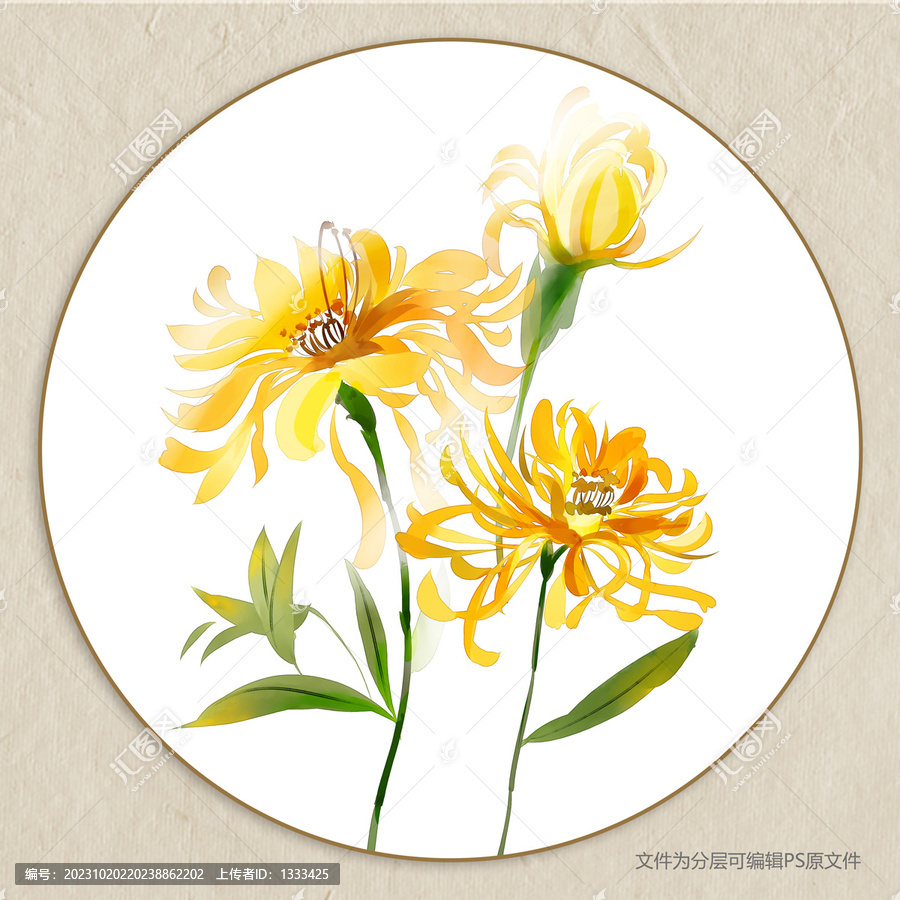 菊花裝飾畫