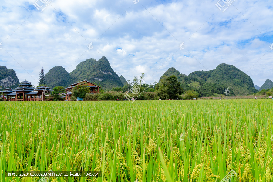 乡村旅游