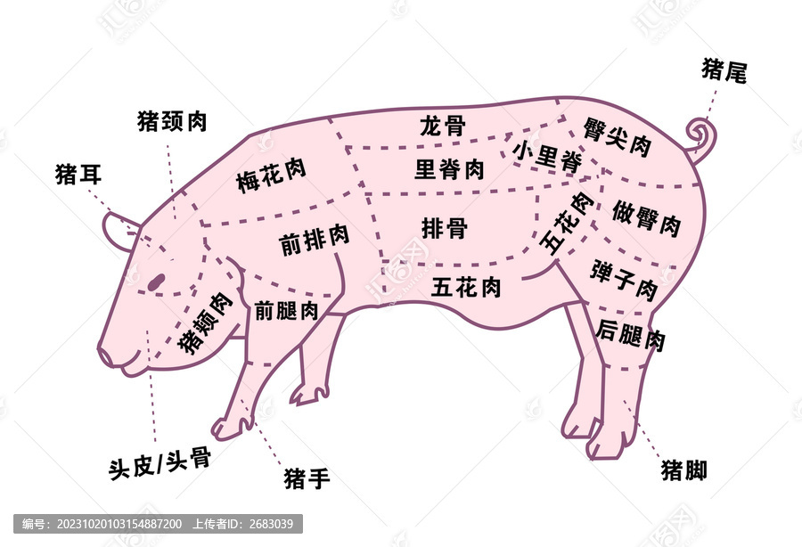 猪肉部位分割图