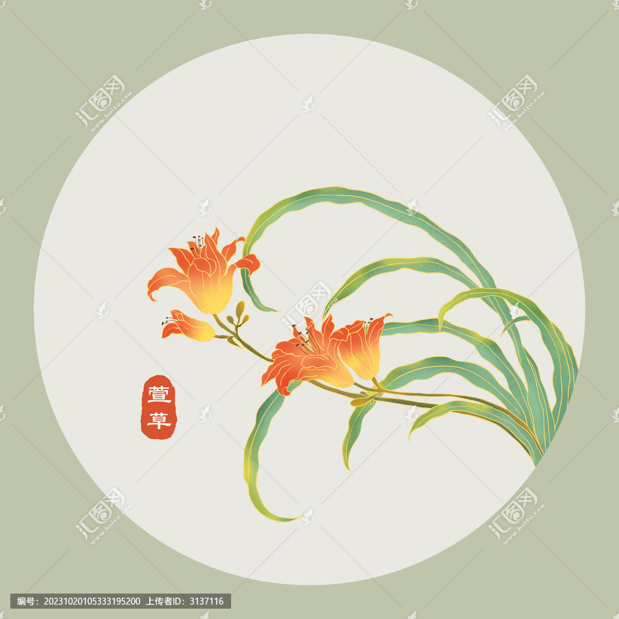 萱草