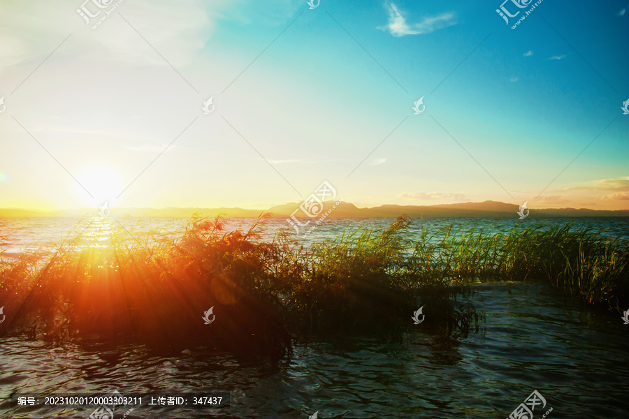 昆明滇池湿地日落