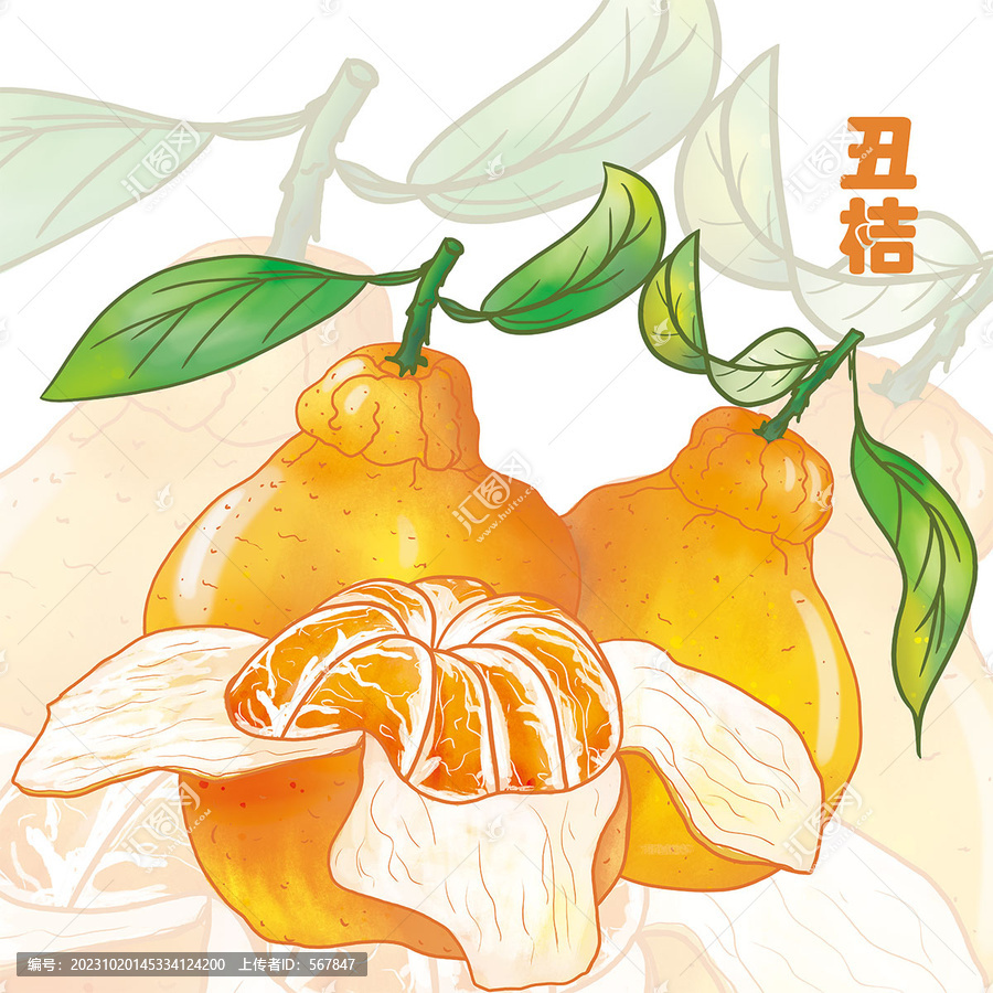 手繪丑桔